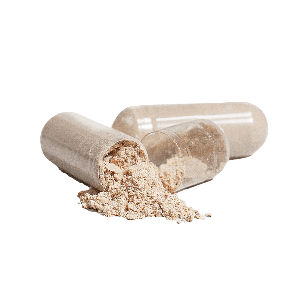 FOCUS YOUR BRAIN CAPSULES